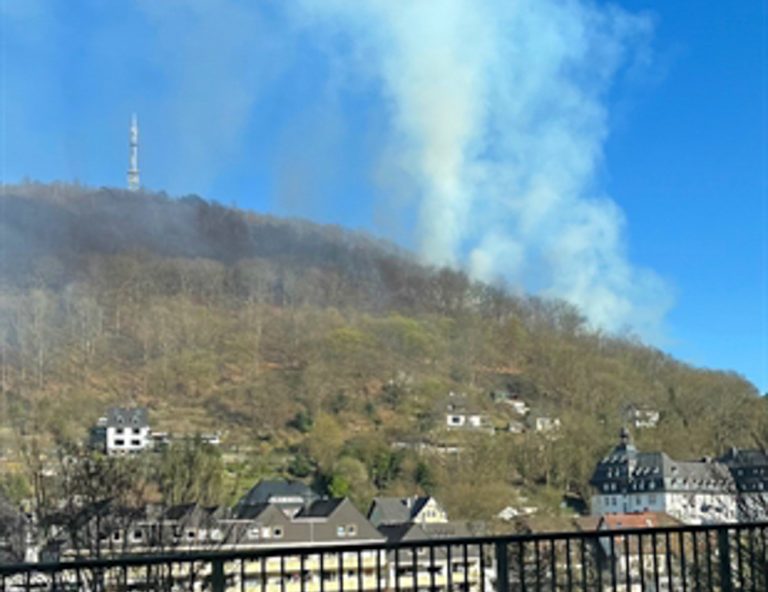 Sechs Waldbrände an einem Tag