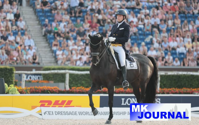 Henri Ruoste (FIN) mit Tiffanys Diamond in der Grand Prix Spécial Kür bei der Reit-WM in Aachen (Foto: Jenny Musall)