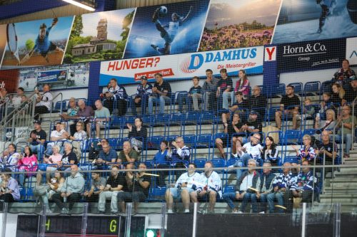Roosters-Fans-1