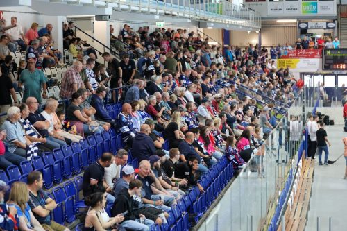 Roosters-Fans-4