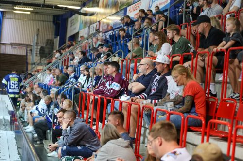 Roosters-Fans-6